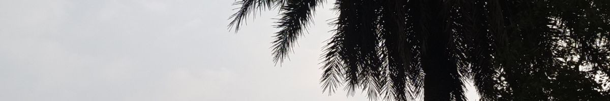 SMT_SOHAN96 SMT_SOHAN96