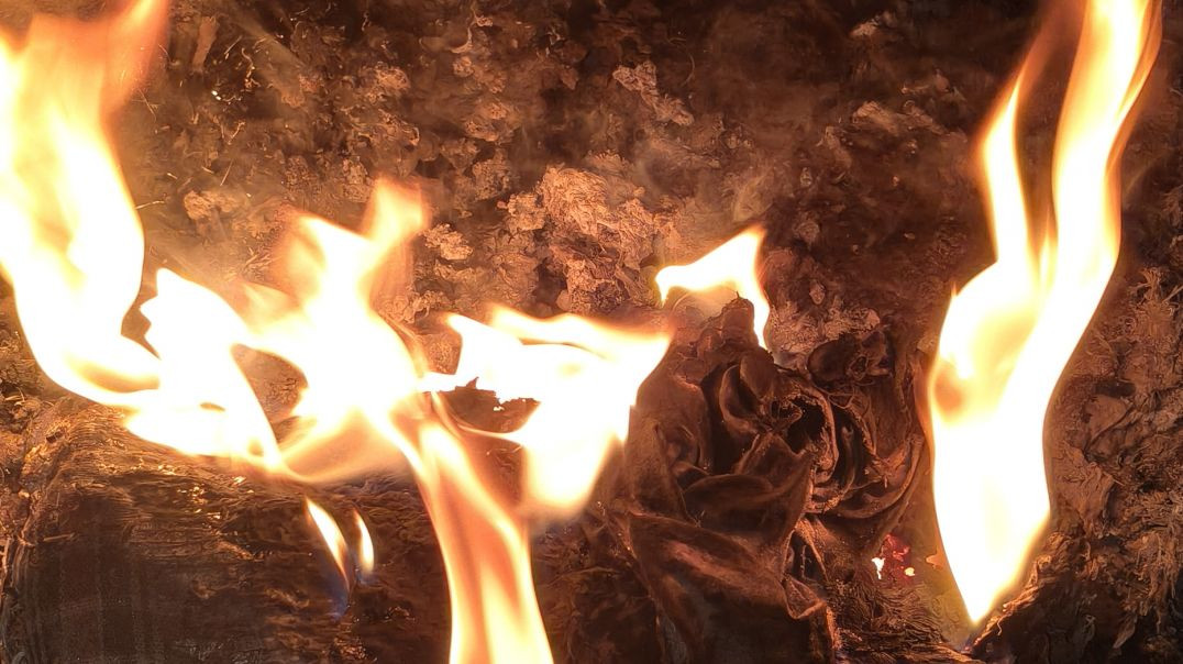 ⁣Stranger Things S01E05 {Hindi-English} 720p (10bit) WEB-DL ESub [BollyFlix]