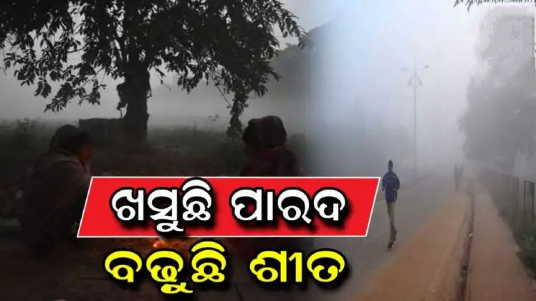 ⁣କମିନି ଶୀତ।