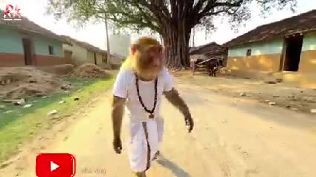 “गाँव_में_बंदर_का