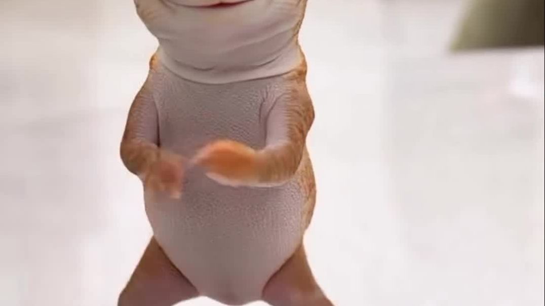 VID_20260102_051745_113