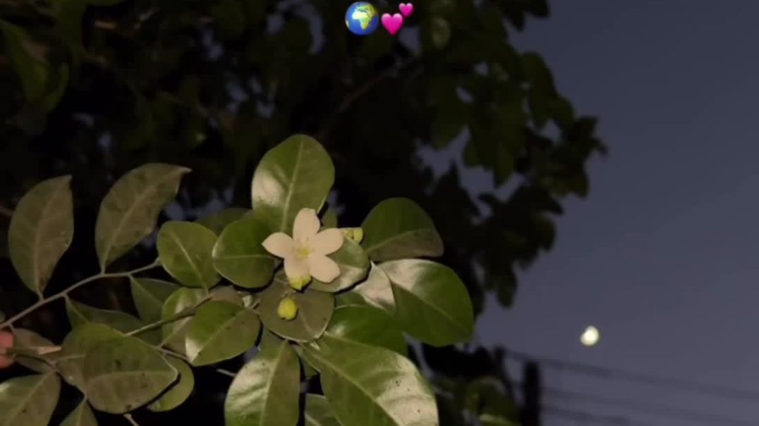 ⁣Song love songs 😍💞