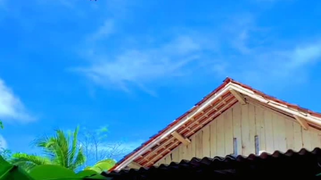 lvtemp_d46ffbf6-6b30-4870-b6a8-6a52d82867d34