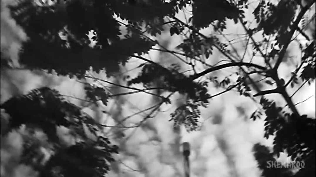 ⁣Kisi_Ki_Muskurahaton_Pe_Mere_Mehboob_Qayamat_Hogi_Original_90_S_Old_Hindi_Songs_90s new trending  mu