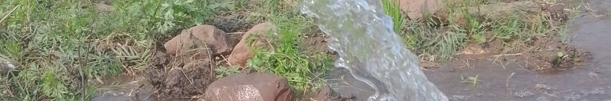 107400328279248169843 