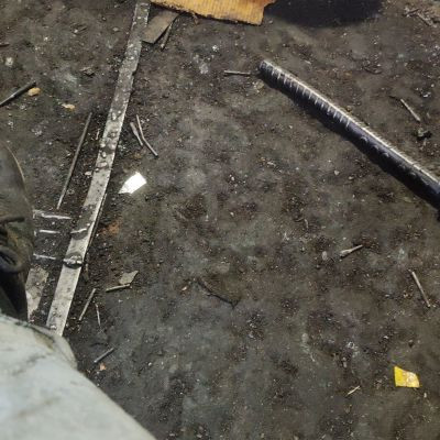 104495456570783444697 