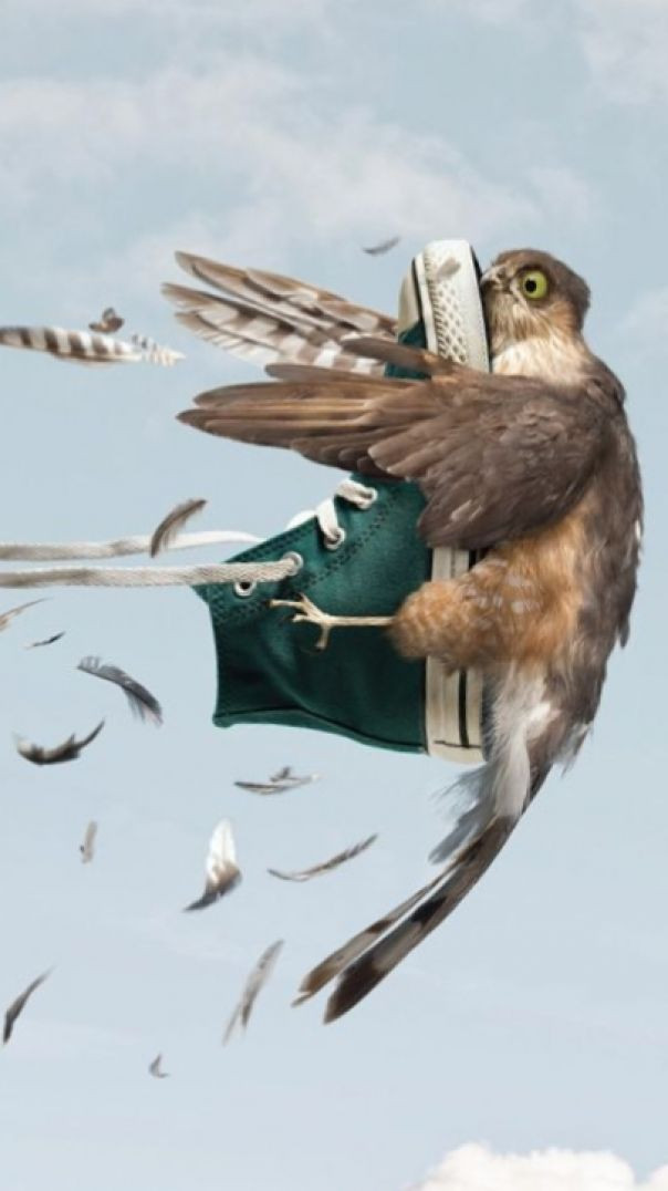 Watch the Facts in fact