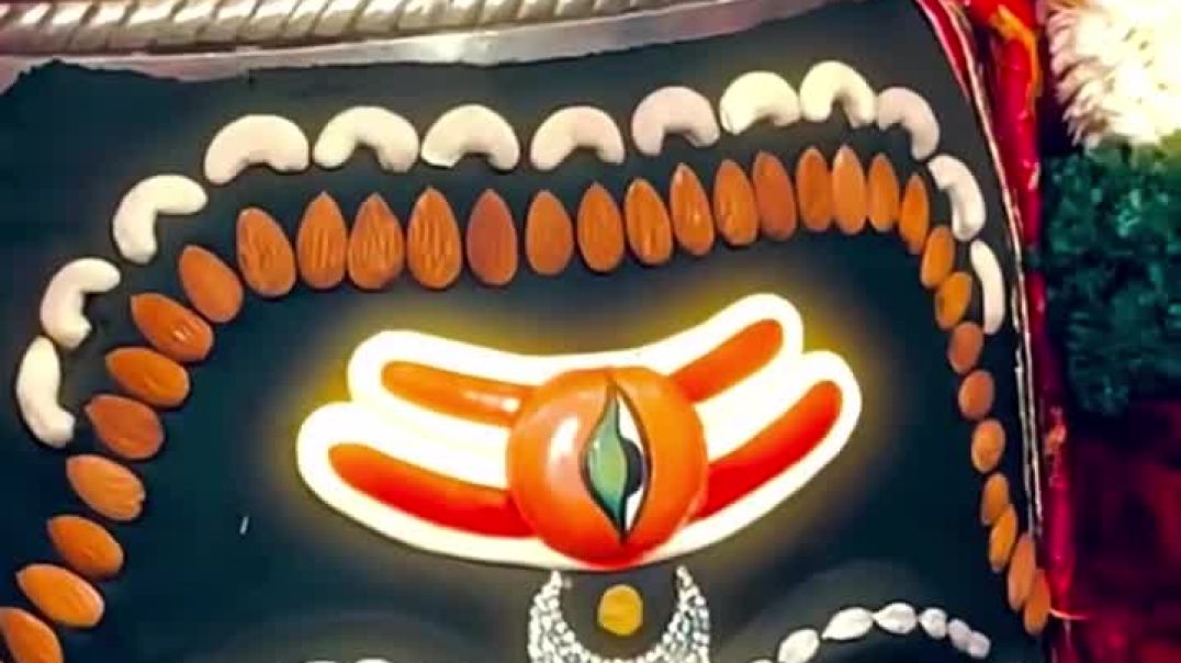 ⁣दीवाना तेरा आया भोले तेरी नगरी में