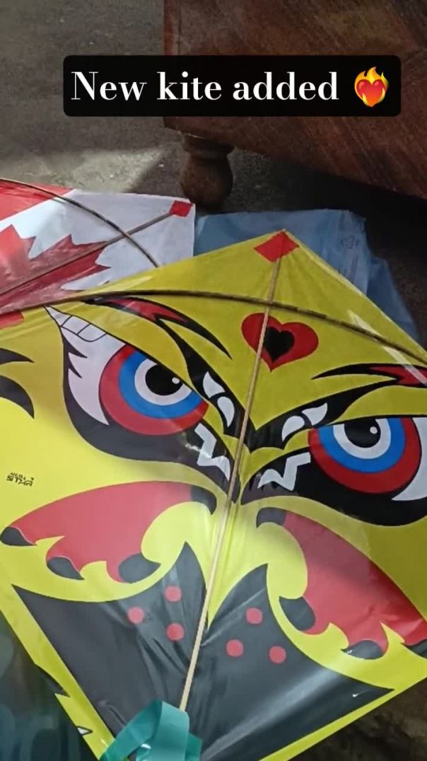 NEW KITE ADDED ❤️‍🔥 FULL VLOG COMING SOON _ #kite #patang​​ #shortsfeed