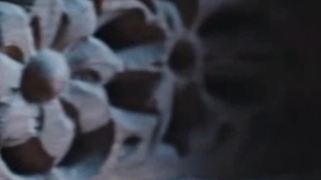 ⁣Dhan Prapti Ke Upay: मंदिर में यह 3 चीज़ें सही विधि से रखें | गरीबी हमेशा के लिए खत्म | बड़ा रहस्य