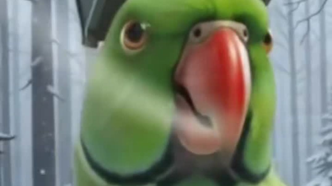 VID_20251231_015008_610