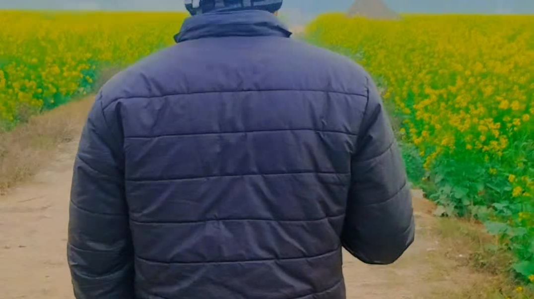 VID_20260103_195037_555