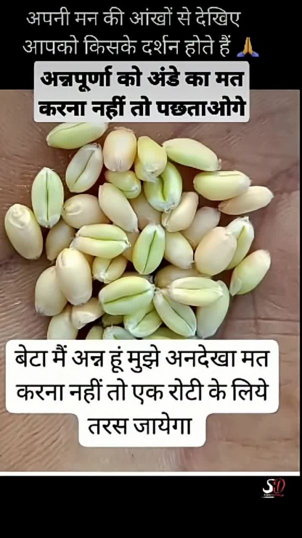 अन्नपूर्णा को अनदेखा न करें #durga#durgamaa#durgapuja (1)