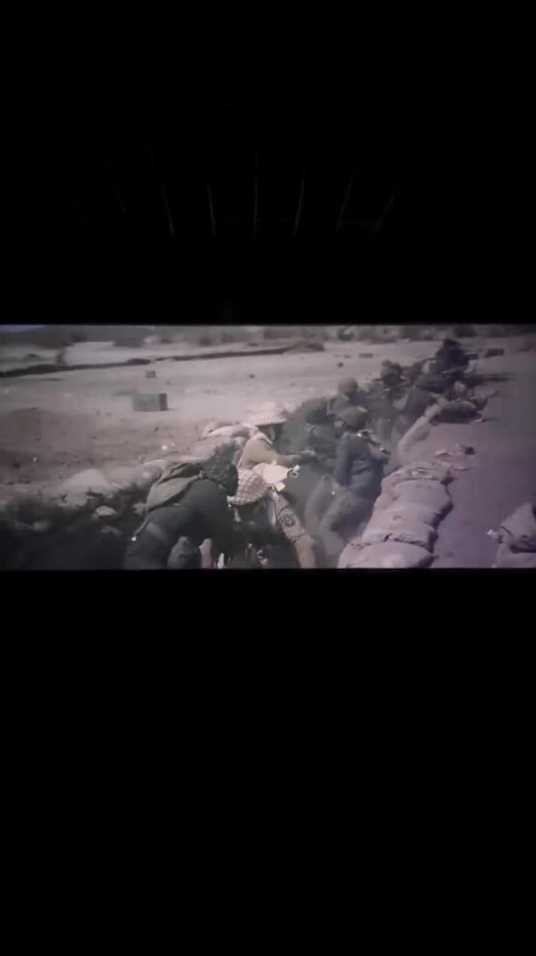 snapsave-app_1970542203839460_hd