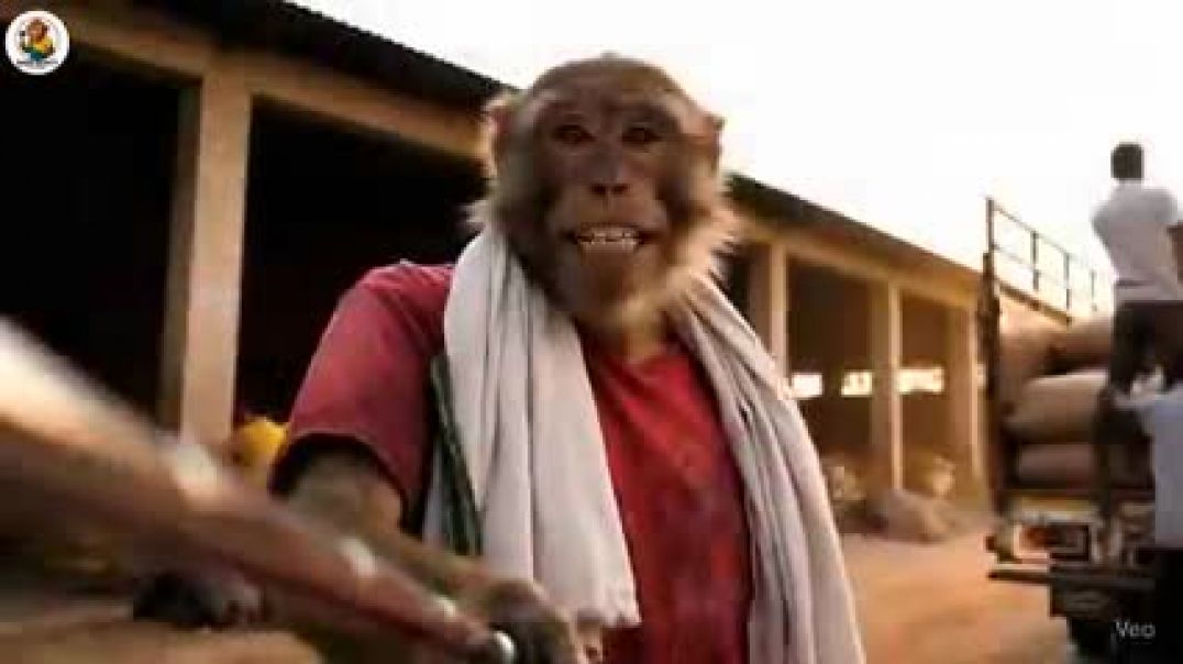 बंदर_शराब_पीकर_चला_रहा_था_ट्रक_पुलिस_ने_पकड़____Baba_Bunty_New_Vlog___(240p)