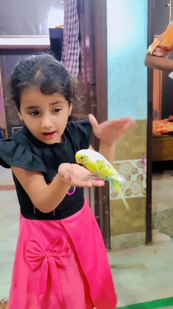 VID_20260130_214006_662