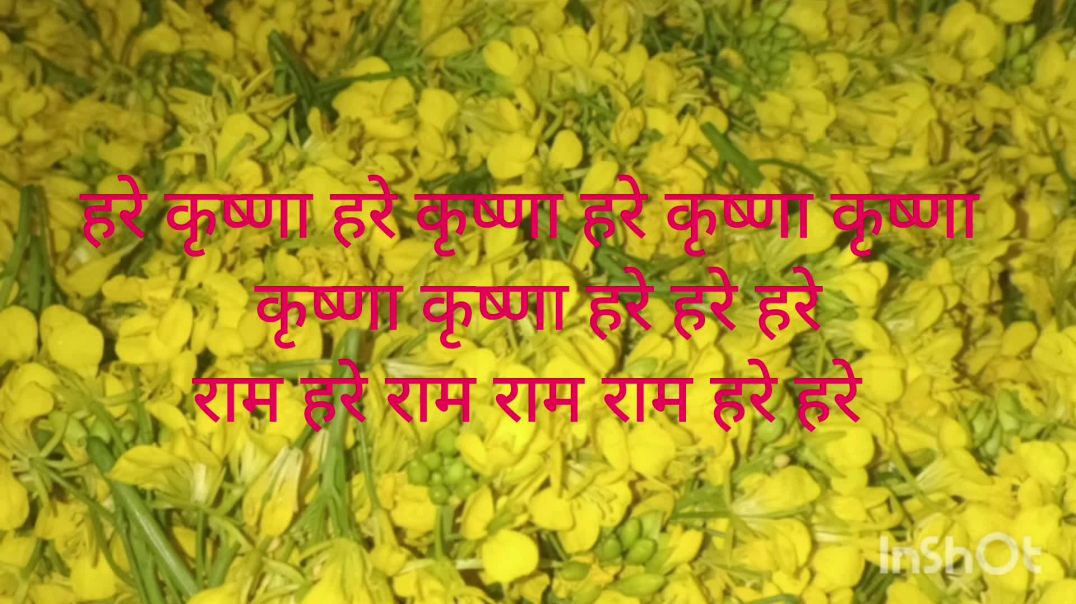 ⁣हरे कृष्ण हरे राम