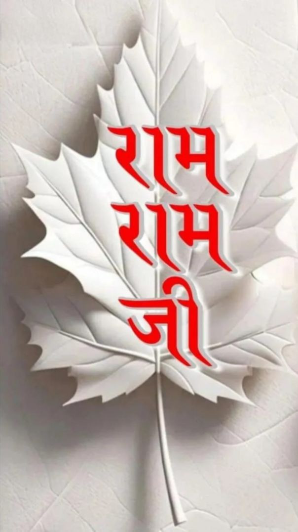 dog _ funny dog video_ dog tik tok videos _ Immagini divertenti di animali Foto di animali divertent