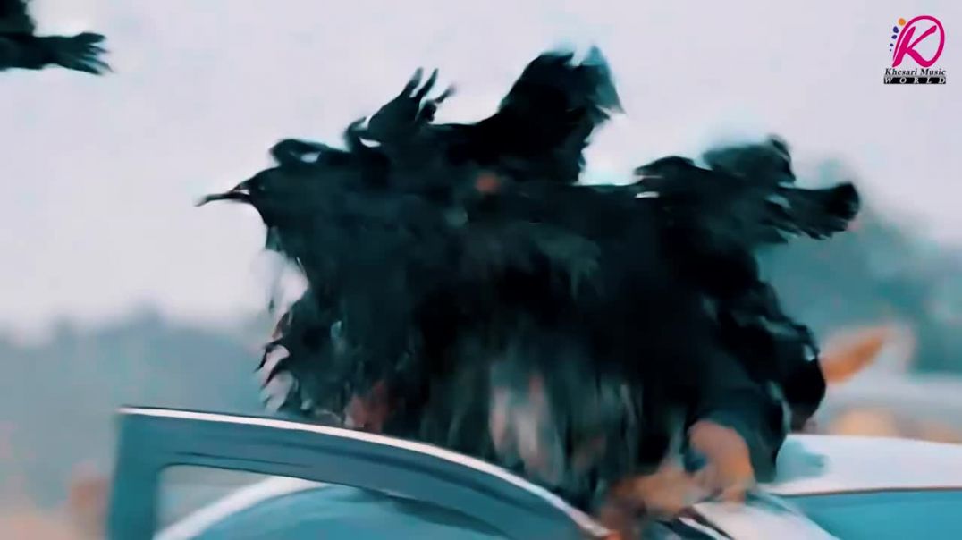 #vedio_surya _pratap___Song_2026()