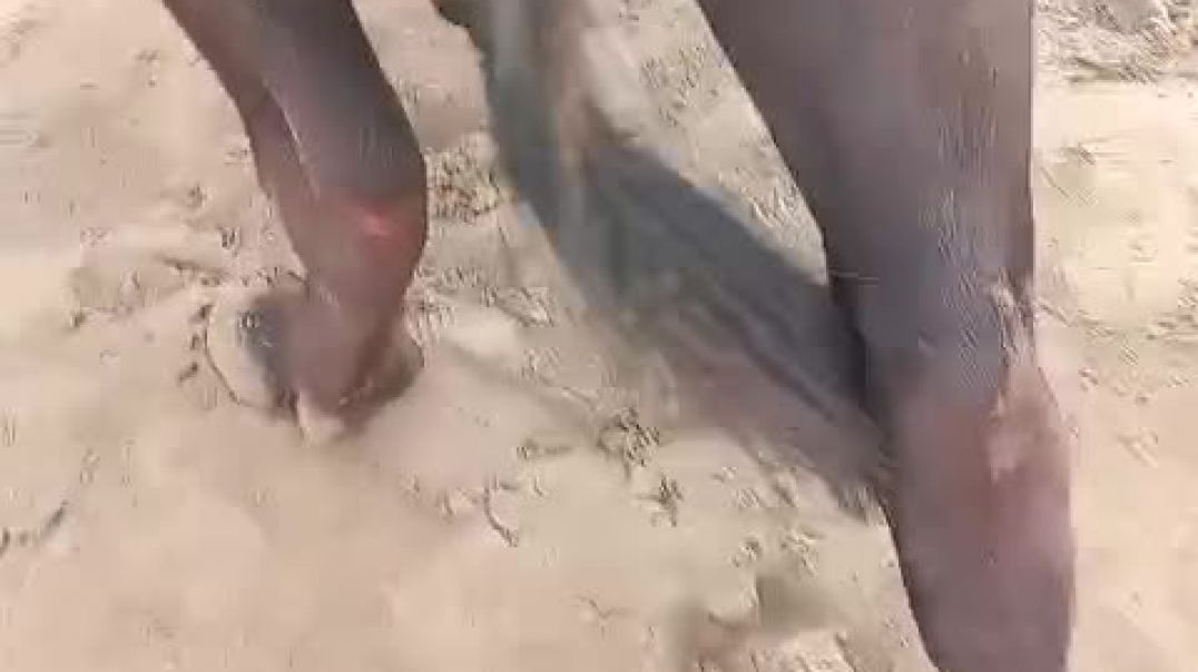 ⁣VID-20260129-WA0008