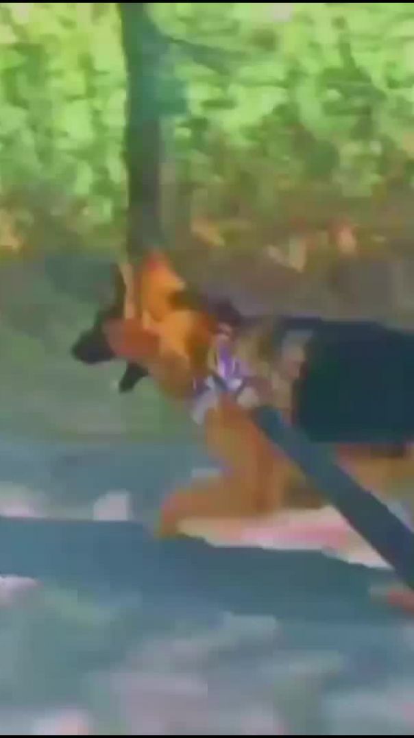 VIDEO_359e7968-8c74-4e75-898e-cbb58d1ac429