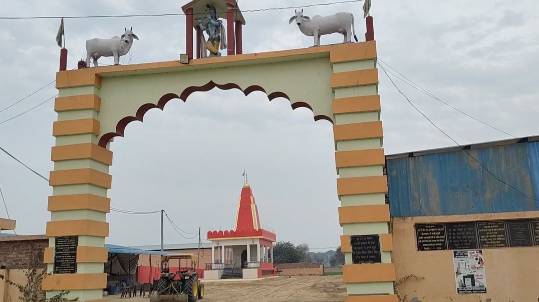 video_20260126_163736