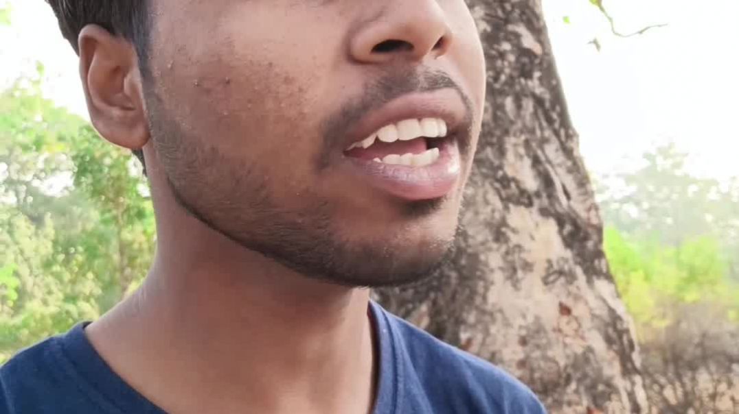 ⁣wishful serpent | Black Royals