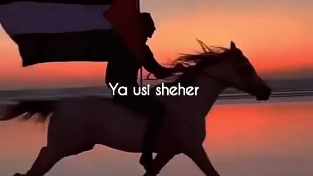 VID_20251231_181130_994