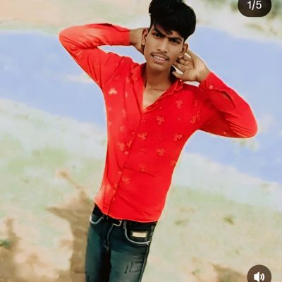 115812385545333179446 