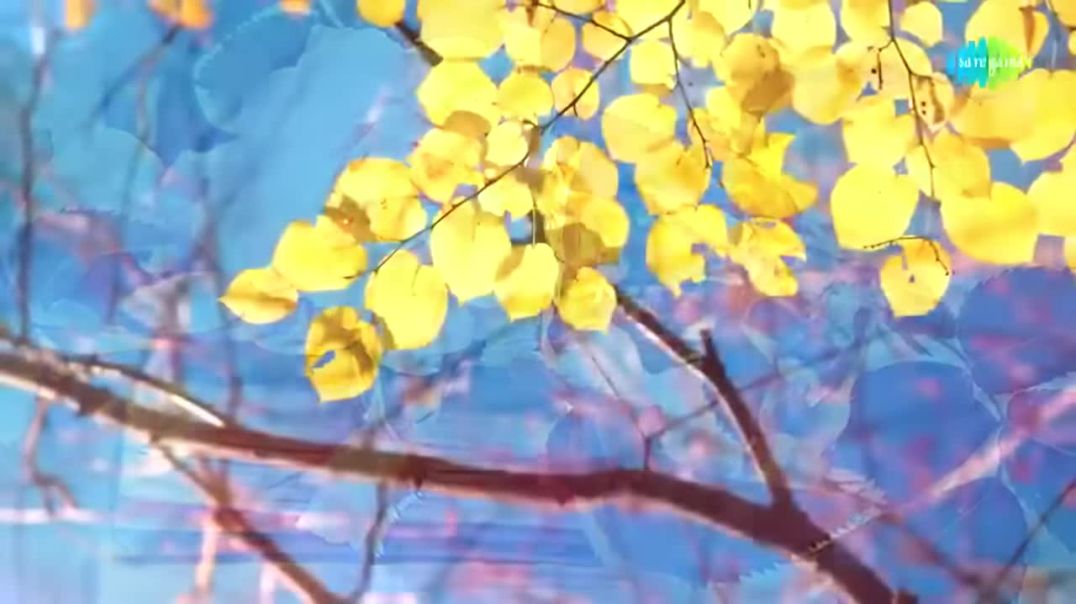 ⁣Chura Liya Hai Tumne Jo Dil Ko _ Lyrical _ Zeenat Aman _ Asha Bhosle _ Mohammed Rafi _ R