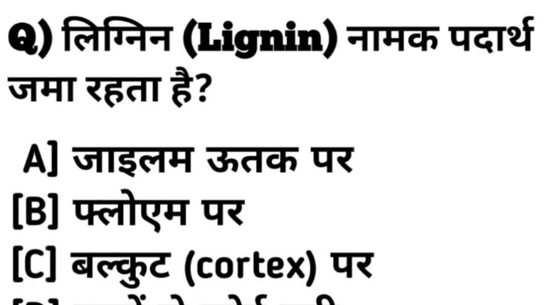 video_20260103_062149_edit