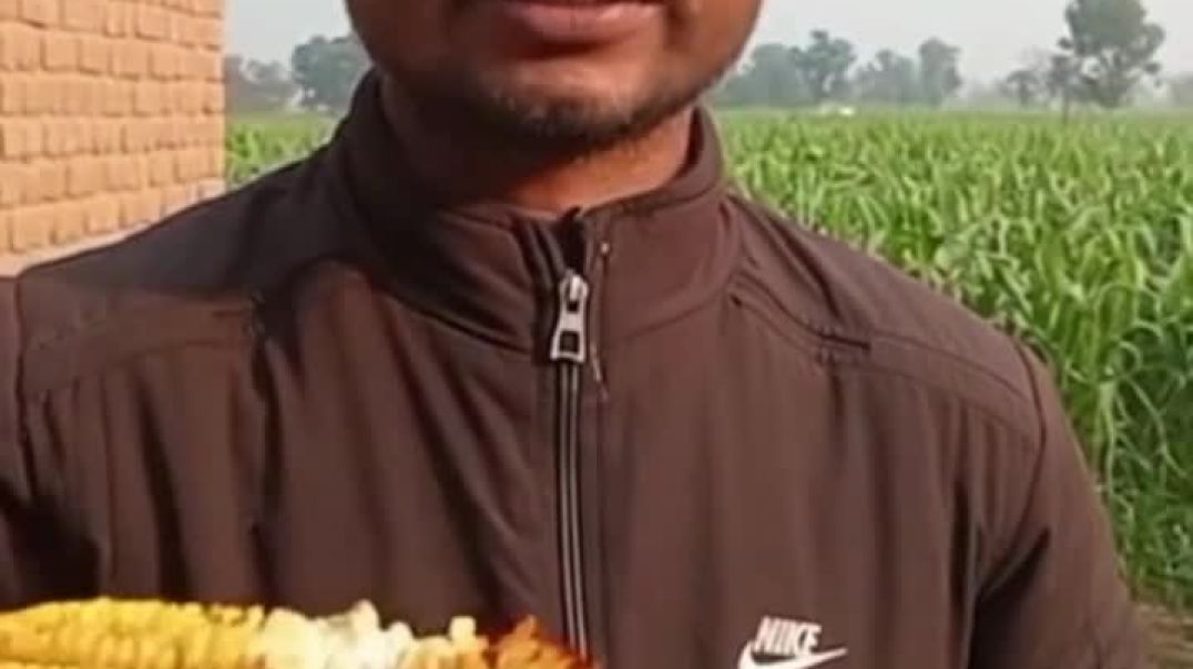 ⁣🌺My first vlog 🎇