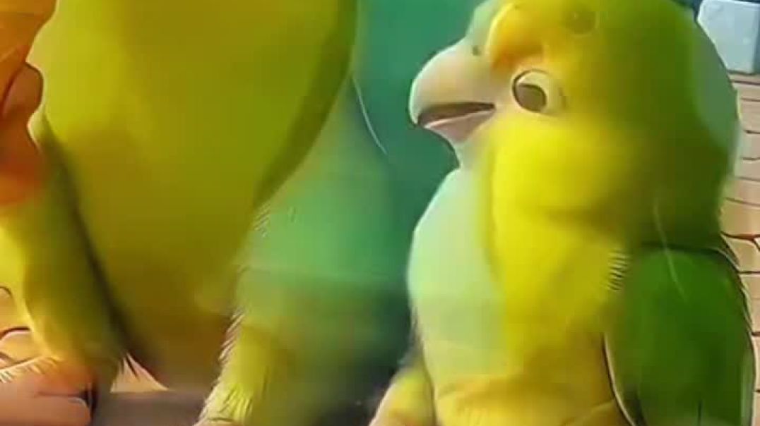 VID_20260101_003632_047