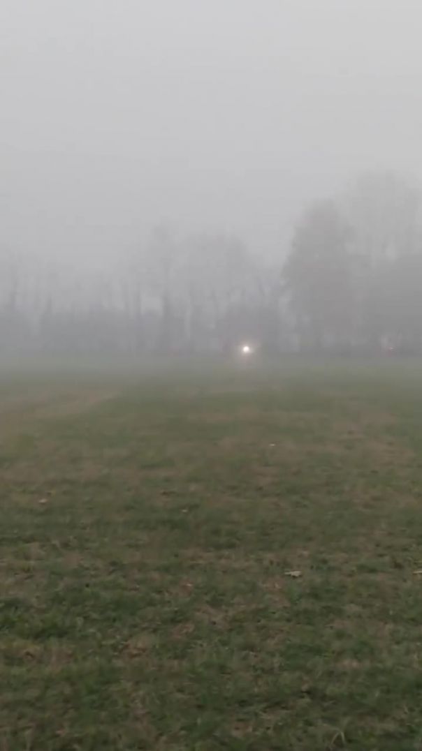 FB_VID_3371429294692552880