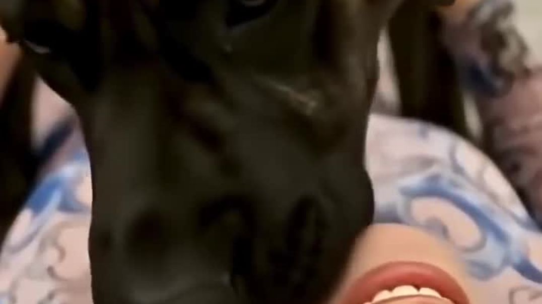 ⁣🐕Golden_Retriever_Puppy_Playing_in_Living_Room_🐕👻👁️_#cutedogs_#dogshorts_#cutepuppy_#funnypuppy(720p