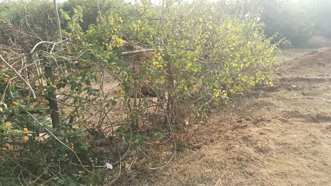 ⁣Bina Hashtag ke bhi video viral hoga 2 tarika 2026