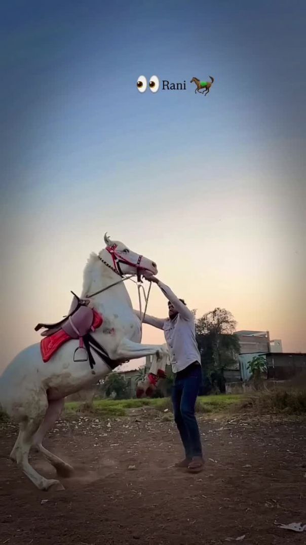 VID_20260127_002257_494