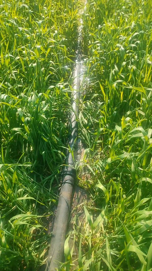 PXL_20260117_144204198