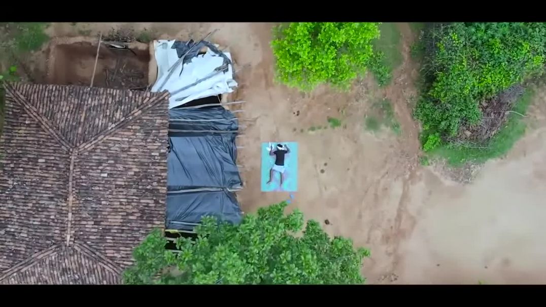 ⁣THE STORY OF TREE __ REAL FOOLS(720P_HD)