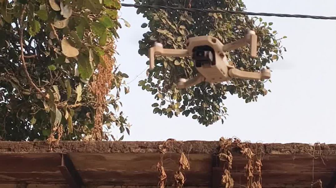 ⁣Happy Republic day celebrations 26 January