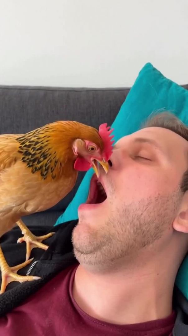 instagram_1769252567353(720p)