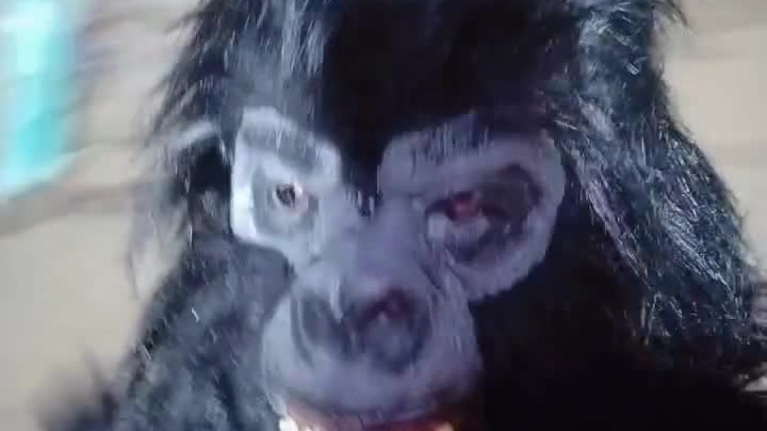 ⁣dk_teddy857-20260103-0001