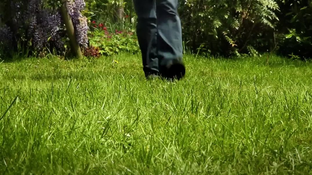 ⁣Minuscule Compilation[1080P]