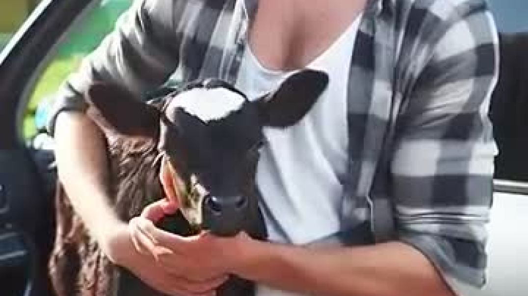 ⁣_storage_emulated_0_Android_data_com