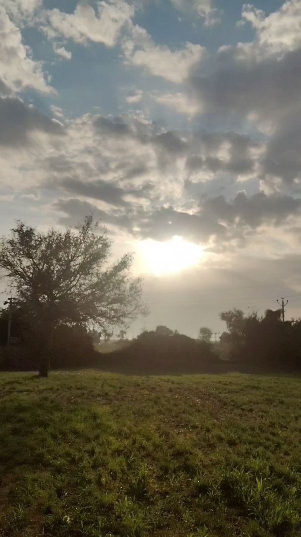 Subah Ki Thand Aur Shaam Ko Cricket 🥶🏏 | Aaj Kach Toot Gaya 😅