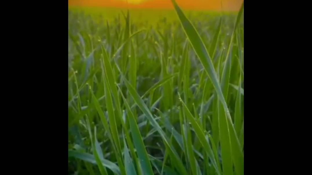 InShot_20260106_205549250