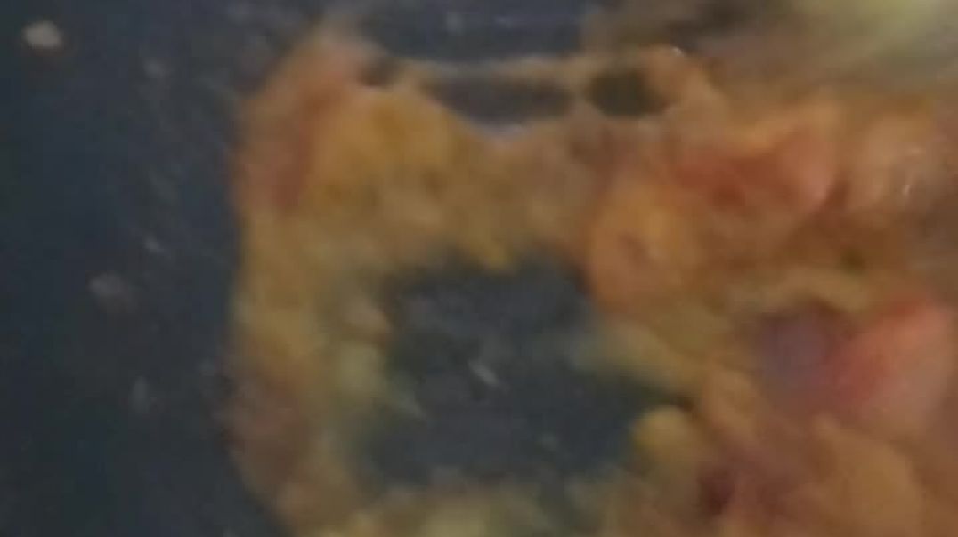 दाल में तरका लगाने का फैसला