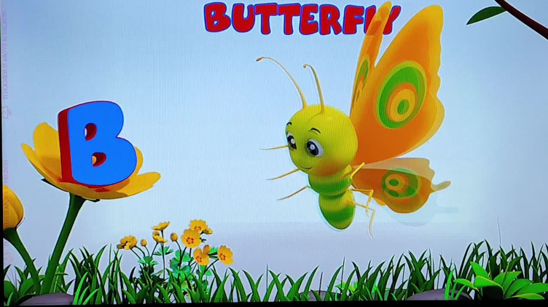 ⁣ABC animal song and video/ A to Z video animals