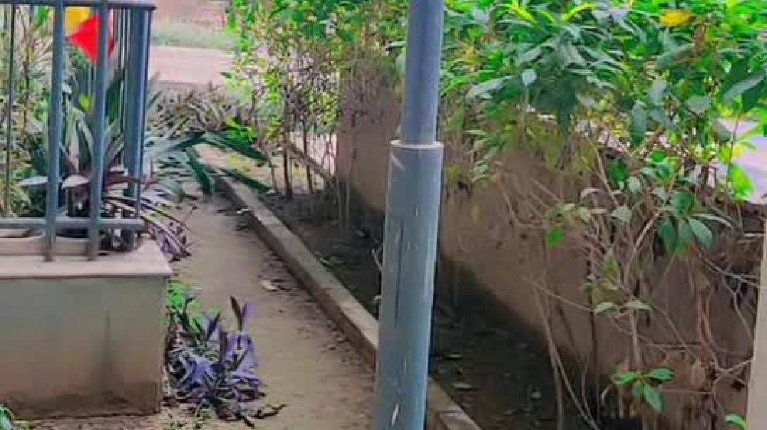 ⁣Snapchat-1314212574