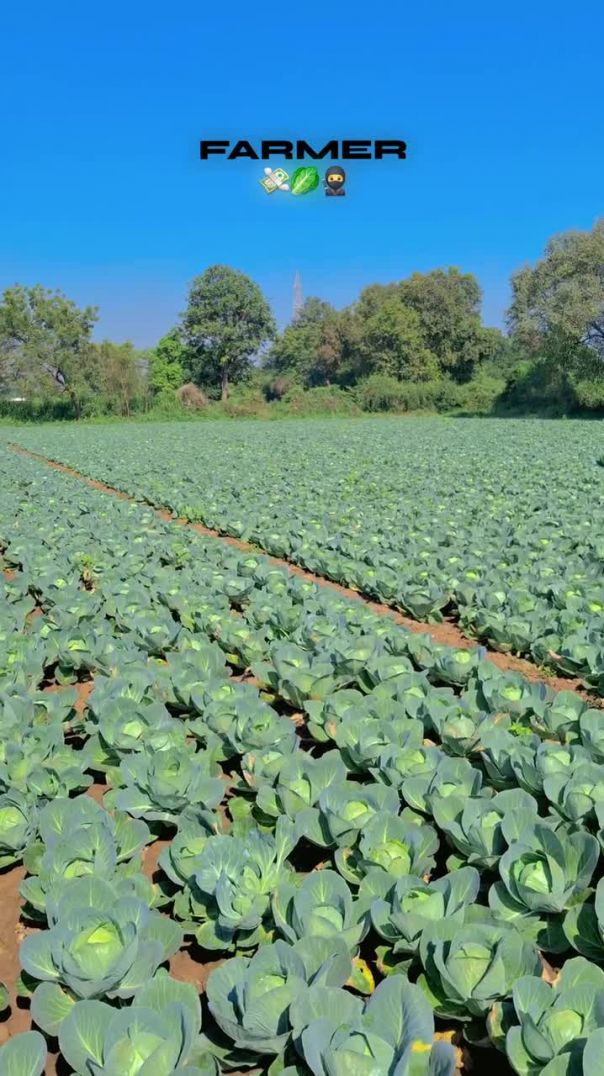 #💸🦅👑⛓️time💸is